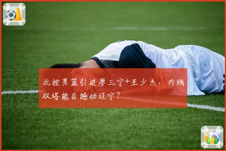 北控男篮引进廖三宁+王少杰，内线双塔能否撼动辽宁？