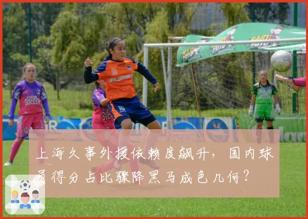 上海久事外援依赖度飙升，国内球员得分占比骤降黑马成色几何？